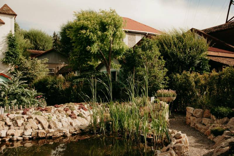 Conception de bassins et points d'eau décoratifs à Libourne pour un jardin apaisant et naturel