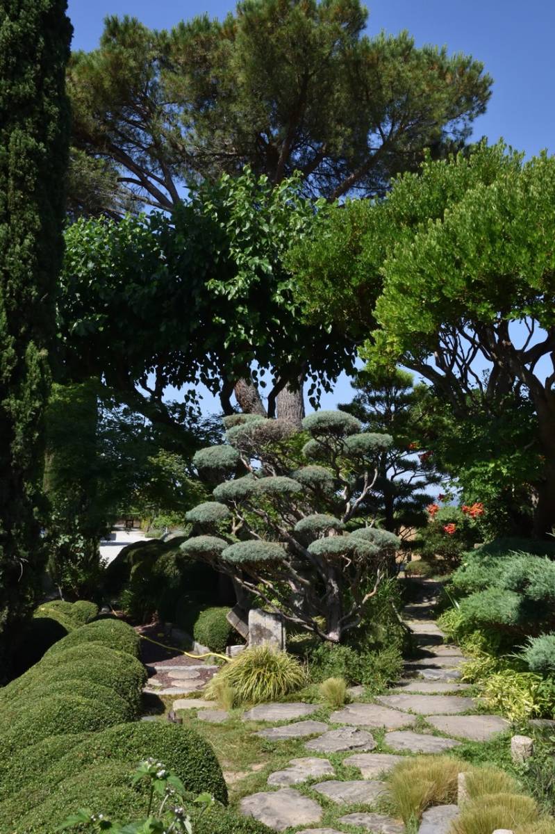 Aménagement zen avec pierres et bambou à Libourne